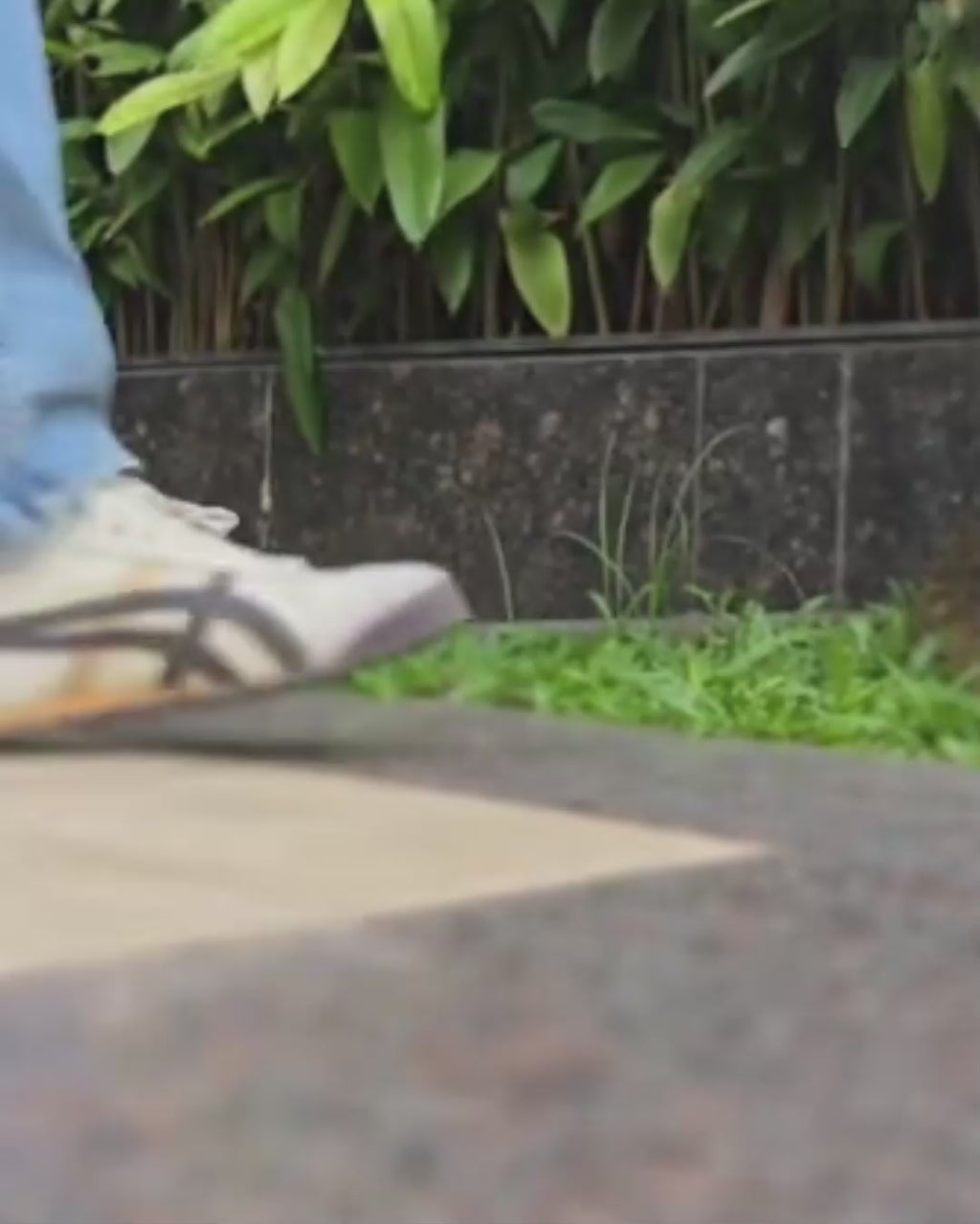 Life Goes On - Typo Socks